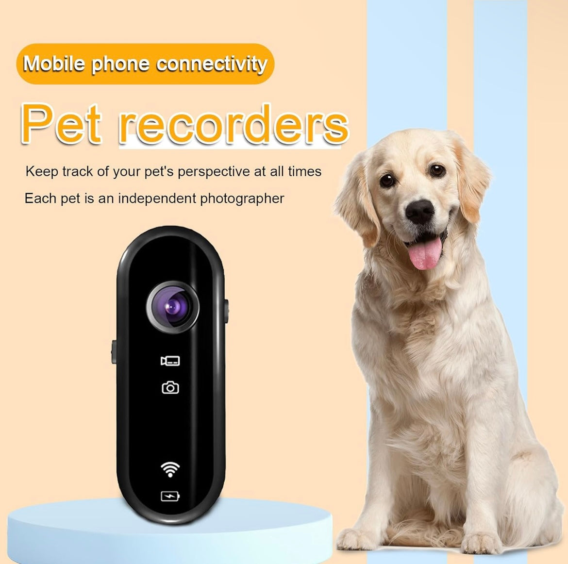 Pet Camera Collar Collier pour chat 1080p 120° grand angle avec caméra, enregistrement vidéo avec carte SD 32 G, rechargeable par USB, pour chiens et chats